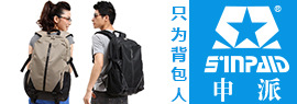 申派