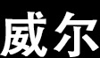威尔仪表