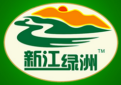 新江绿洲