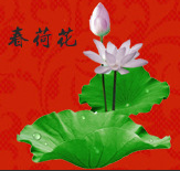 春荷花