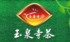 玉泉寺茶