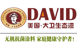 美国大卫生态漆