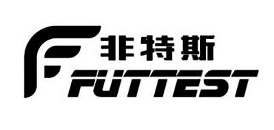 非特斯