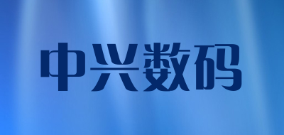 中兴数码