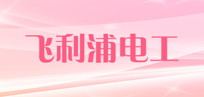 飞利浦电工