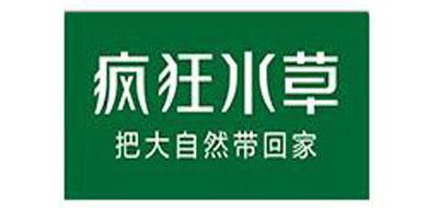 疯狂水草
